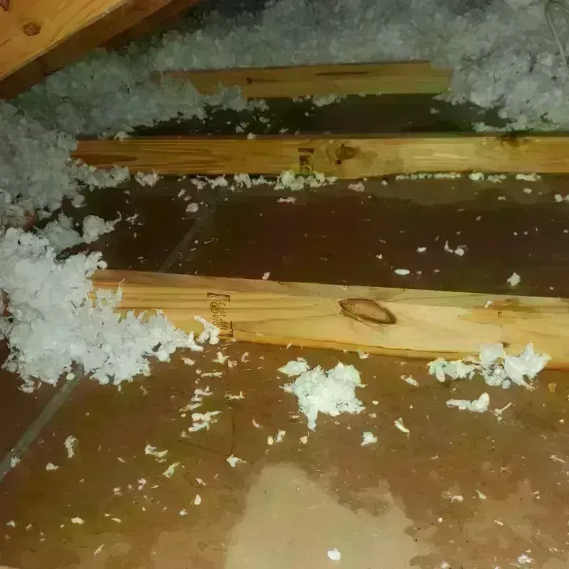 Attic Water Damage in Josephine, TX