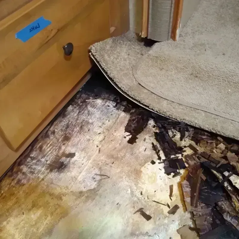 Best Wood Floor Water Damage Service in Josephine, TX